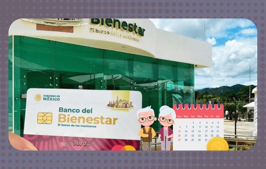 🔎 Consultar Mi Fecha